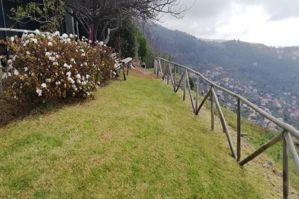 Ocean View Holiday home Arco da Calheta (Madeira)